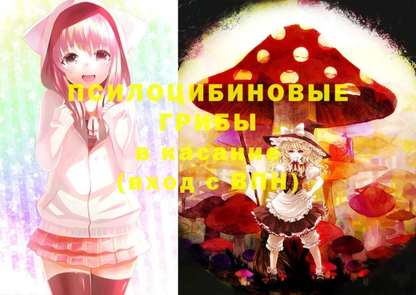 стаф Абинск