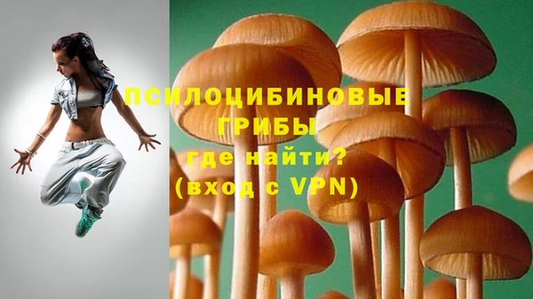 стаф Абинск