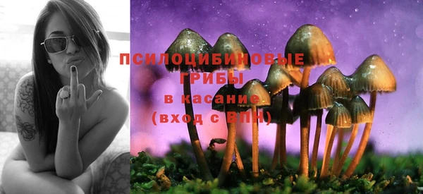 стаф Абинск