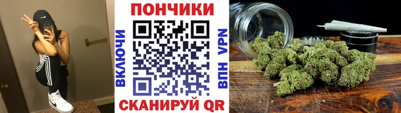 Конопля семена  Стрежевой 